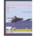 Эквадор 2000 Дельфины М: 2482 bl 155